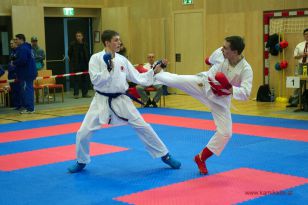 seibukan_Goju_und_Wado_OEM_Brunn_am_Gebirge_2013_064.jpg