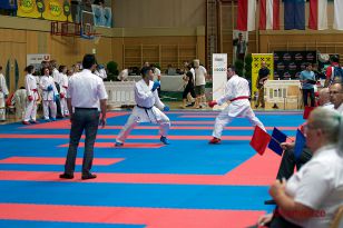 seibukan_Junior_Open_2016_091.jpg