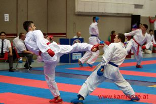 seibukan_Karate1_Premier_League_2016_148.jpg