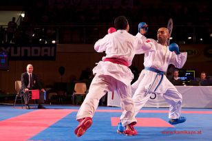 seibukan_Karate1_Premier_League_and_Youth_World Cup_Salzburg_2013_073.jpg