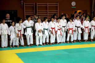 seibukan_Oesterr_Shotokan_Meisterschaft_2011_006.jpg