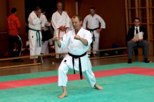 seibukan_Oesterr_Shotokan_Meisterschaft_2011_020.jpg