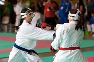 seibukan_Oesterr_Shotokan_Meisterschaft_2011_083.jpg