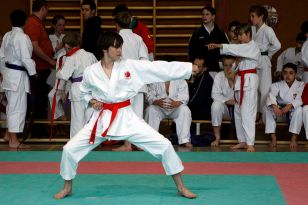 seibukan_Shotokan_Cup_2010_006.jpg