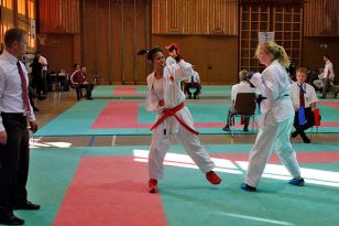 seibukan_Shotokan_Cup_2010_061.jpg