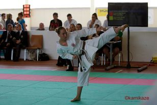 seibukan_Shotokan_OEM_2016_027.jpg