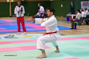 seibukan_Styrian_Open_Fuerstenfeld_2013_014.jpg