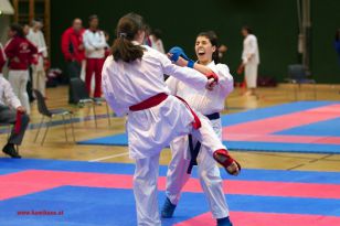 seibukan_Styrian_Open_Fuerstenfeld_2013_050.jpg