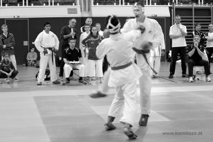 seibukan_Styrian_Open_Fuerstenfeld_2014_051.jpg