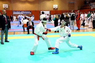 seibukan_VIII_Oesterr_Goju_Ryu_Wado_Ryu_Meisterschaft_2010_031.jpg