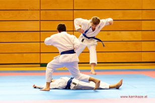 seibukan_WADO_KAI_Europameisterschaft_2012_056.jpg