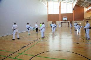 seibukan_Zwei_neue_Karate_Instruktoren _2015_009.jpg