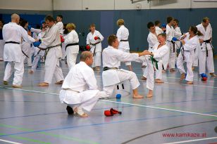 seibukan_3_Int_Karate_Sommercamp_Ravensburg_2015_035.jpg