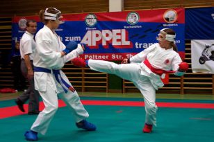 seibukan_Askoe_Bundesmeisterschaft_2010_087.jpg