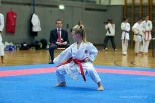 seibukan_Askoe_OOEKarate_Landesmeisterschaft_2013_011.jpg