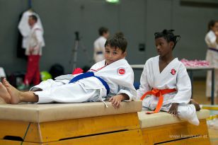 seibukan_Askoe_OOEKarate_Landesmeisterschaft_2013_033.jpg