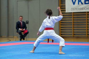 seibukan_Askoe_OOEKarate_Landesmeisterschaft_2013_045.jpg