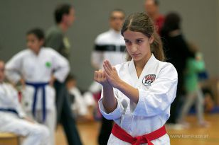 seibukan_Askoe_OOEKarate_Landesmeisterschaft_2013_052.jpg