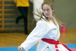 seibukan_Askoe_OOEKarate_Landesmeisterschaft_2013_091.jpg