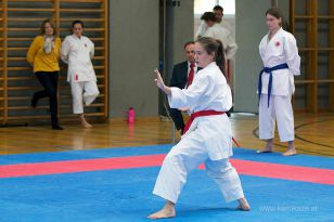 seibukan_Askoe_OOEKarate_Landesmeisterschaft_2013_096.jpg