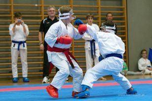 seibukan_Askoe_OOEKarate_Landesmeisterschaft_2013_137.jpg