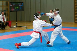 seibukan_Askoe_OOEKarate_Landesmeisterschaft_2013_163.jpg