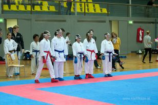 seibukan_Askoe_OOEKarate_Landesmeisterschaft_2013_169.jpg