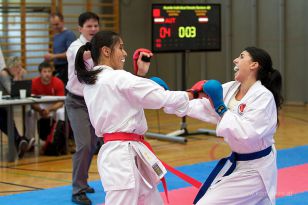 seibukan_Askoe_OOEKarate_Landesmeisterschaft_2013_192.jpg