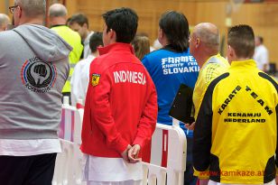 seibukan_Austria_Junior_Open_Walserfeld_2014_143.jpg