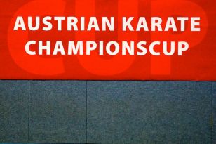 seibukan_Austrian_Champions_Cup_2011_008.jpg