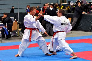 seibukan_Austrian_Karate_Champions_Cup_2010_103.jpg