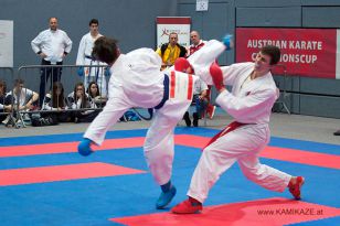 seibukan_Austrian_Karate_Championscup_2015_164.jpg