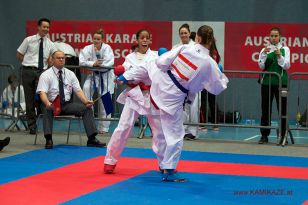 seibukan_Austrian_Karate_Championscup_2015_167.jpg