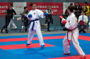 seibukan_Austrian_Karate_Championscup_2015_169.jpg