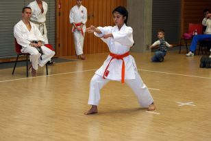 seibukan_Bushido_Nachwuchscup_2009_012.jpg