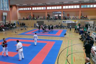 seibukan_EGKF_Senior_Goju_Ryu_Championships_2013_006.jpg