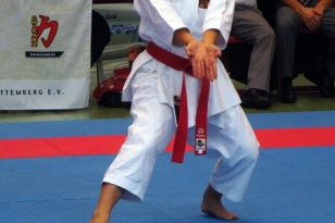 seibukan_Goju_Ryu_EM_Heilbronn_2014_070.jpg