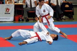 seibukan_Goju_Ryu_EM_Heilbronn_2014_093.jpg