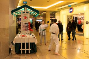 seibukan_Infostand_Lentia_Shopping_City_Linz_2012_004.jpg