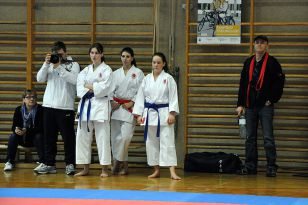 seibukan_Intern_Lions_Cup_Lustenau_2013_010.jpg