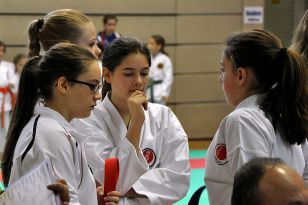 seibukan_Intern_Lions_Cup_Lustenau_2013_028.jpg