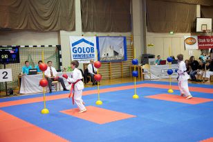 seibukan_Intern_Lions_Cup_Lustenau_2013_032.jpg