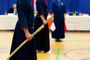 seibukan_JODO_Europameiserschaft_in_Linz_2013_017.jpg