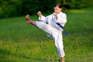 seibukan_KARATE_ein_Sport_fuer_Alt_und_Jung_2012_015.jpg