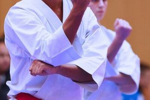 seibukan_Karate1_Premier_League_and_Youth_World Cup_Salzburg_2013_145.jpg