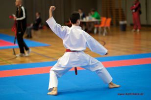 seibukan_OOE_LM_U10_U21_Senioren_Linz_Auhof_2012_040.jpg