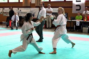 seibukan_Oesterr_Shotokan_Meisterschaft_2011_073.jpg