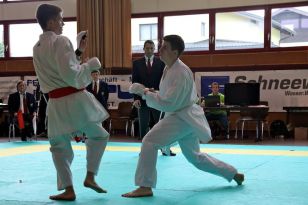 seibukan_Oesterr_Shotokan_Meisterschaft_2011_078.jpg