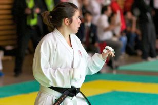 seibukan_Oesterr_Shotokan_Meisterschaft_2011_088.jpg