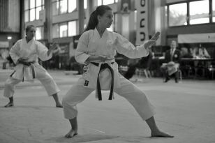 seibukan_Oesterr_Shotokan_Meisterschaft_2013_011.jpg